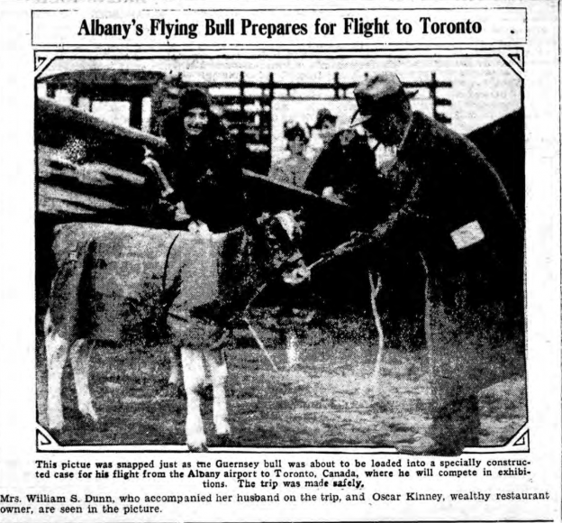 Albany’s Flying Bull