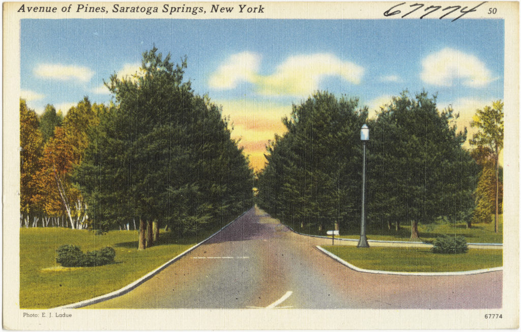 Avenue of Pines Saratoga Springs postcard BPL
