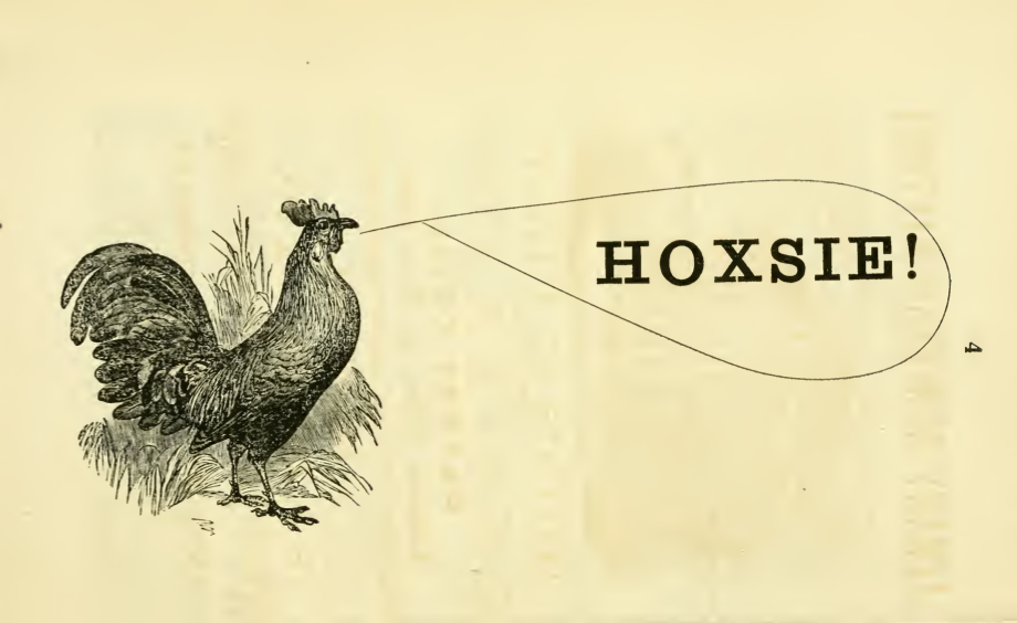 Hoxsie! Original advertisement by George W. Hoxsie.